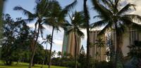 Honolulu - Fahrt zum Hotel