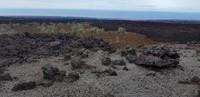 Inselrundfahrt - Big Island