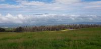 Maui - Inselrundfahrt