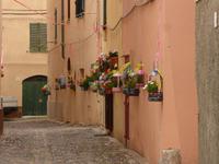 Alghero - Blumengasse