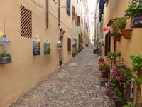 Alghero - Blumenschmuck