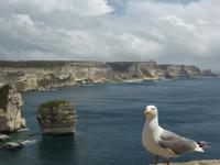 Bonifacio - Blick zum Grain Sable und Capo Pertusato