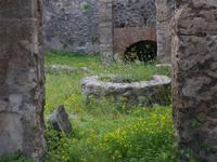P1030344