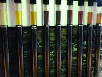 Porto - Besichtigung der Weinkellerei Burmester, Weinsorten