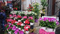 Blumenstand in Neapel