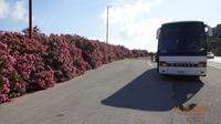 Busrundfahrt auf Kreta mit Dimitris