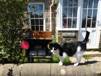 Impressionen auf Sark 1