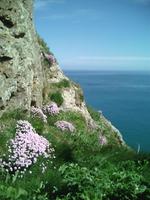 IMG_20180503_143438