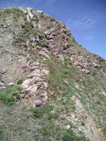 IMG_20180503_143557