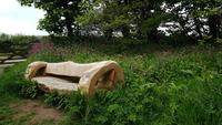 The Lost Gardens of Heligan 20180515 124542