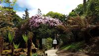 The Lost Gardens of Heligan 20180515 130600