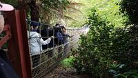 The Lost Gardens of Heligan 20180515 130749