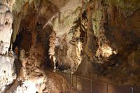 129 Postojna, Adelsberger Grotten