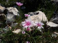 Wanderkreuzfahrt mit der Berlin - Wanderung im Krka-Nationalpark/Kroatien