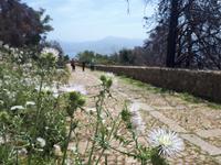 Wanderkreuzfahrt mit der Berlin - Wanderung in Palermo auf den Monte Pellegrino