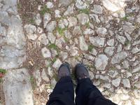 Wanderkreuzfahrt mit der Berlin - Wanderung in Palermo auf den Monte Pellegrino