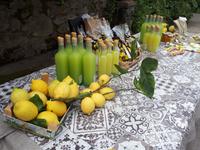 Wanderkreuzfahrt mit der Berlin - Limoncello
