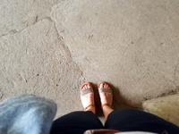 Wanderkreuzfahrt mit der Berlin - Olivenfarm