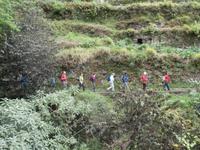 Wanderung entlang Levada von Marocos