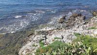 Küste in Alghero