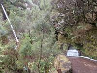 Wanderung zu den 25 Quellen im Tal von Rabacal