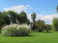 Mount Etjo wunderschöner Garten