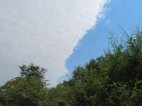 Wetterwende