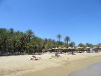 Vai - Der Palmenstrand