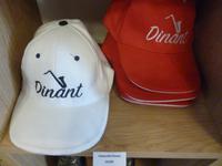 Dinant