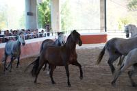 Ohren angelegt: Pass op! 