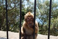 Können diese Augen...