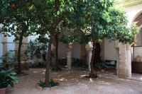 Sahn (Moscheehof), Marienkirche, Carmona