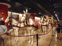  im Vatikan.Kutschenmuseum