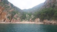 Porto (Schifffahrt Calanche - Capo Rosso / Strand von Ficajola)