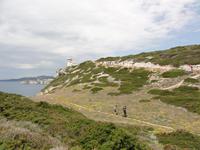 Capo Pertusato