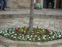 Taschkent: Rundfahrt/Rundgang