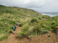 Wanderung von Cala Tirant nach Binimel-lá