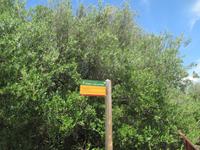 Wanderung Son Bou nach Es Canutells