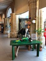 Stadtrundgang, Mittagspause und Freizeit in Mahón