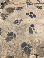 Kleiner Stadtrundgang in Binibeca