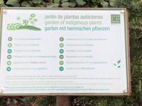 Höhle und Diskothek 