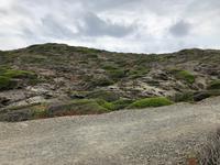Wanderung im Naturpark S'Albufera von Favaritx nach Es Grau