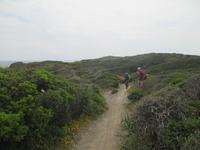 Wanderung im Naturpark S'Albufera von Favaritx nach Es Grau