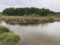 Naturpark S'Albufera