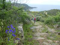 Italien, Giglio, Weg nach Campese