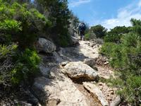 Italien, Giglio, Campese