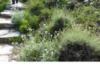 Italien, Elba, Capo Stella