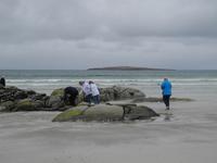 Traumstrand beim Flughafen Donegal