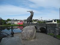 Der gekröhnte Ziegenbock von Killorglin