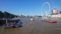 Blick von der Westminster Bridge zum London Eye
